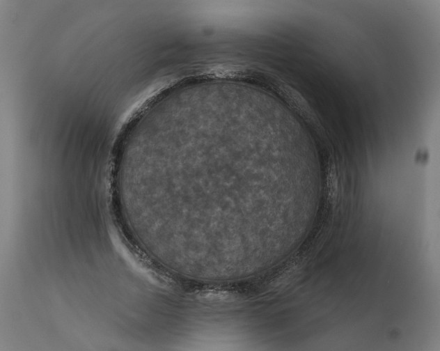 X0000112430730200908281902