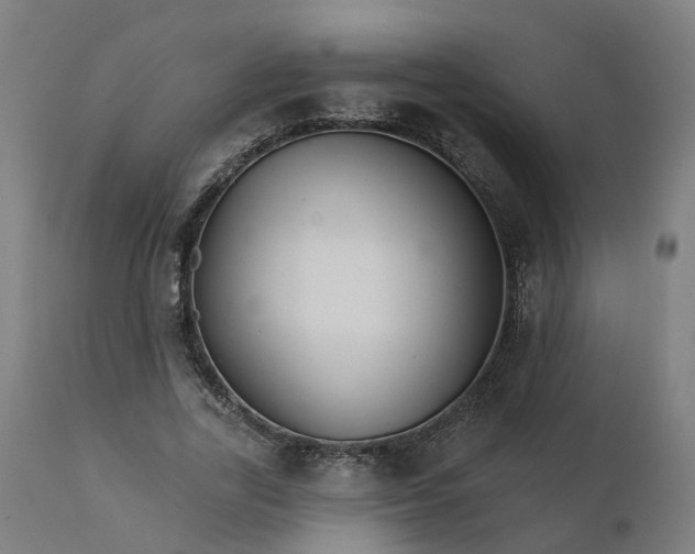 X0000112430731200908281902