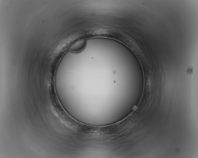 X0000112430732200908281902