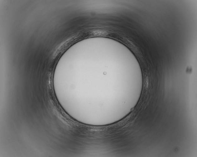 X0000112430733200908281902