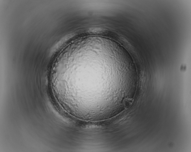 X0000112430734200908281902