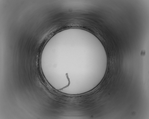 X0000112430735200908281902