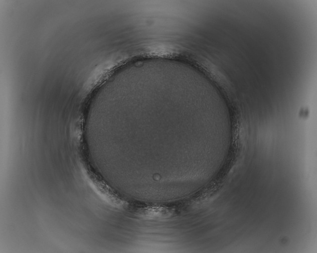 X0000112430736200908281902