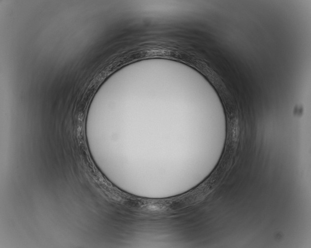 X0000112430737200908281902