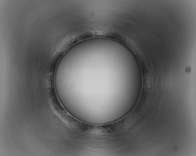 X0000112430738200908281902