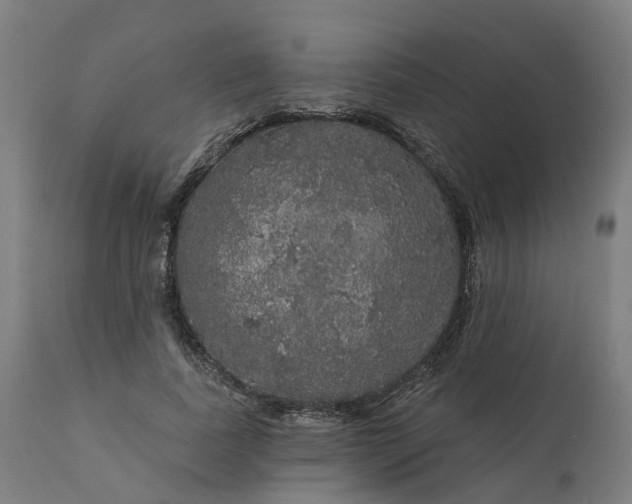 X0000112430739200908281902