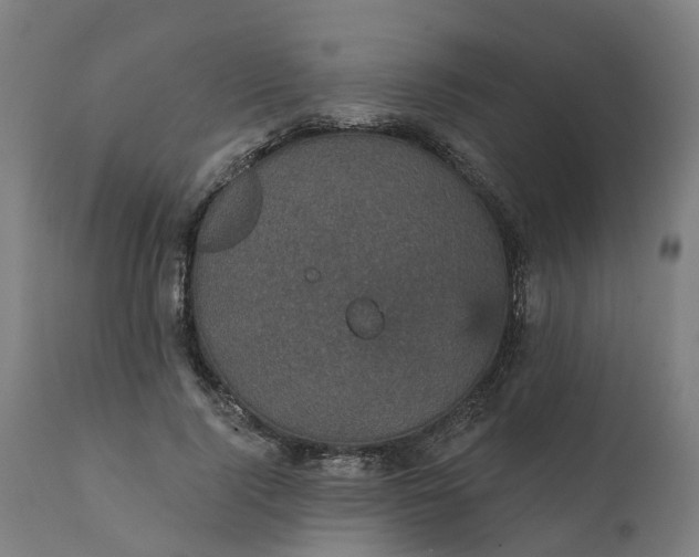 X0000112430740200908281902