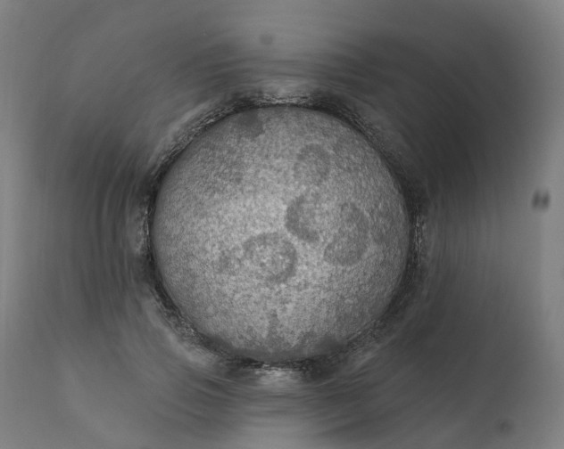 X0000112430741200908281902