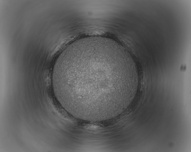 X0000112430743200908281902