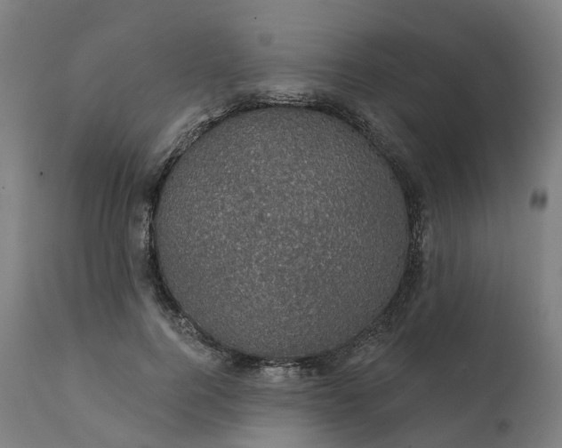 X0000112430744200908281902