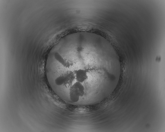 X0000112430745200908281902