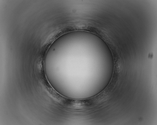 X0000112430746200908281902