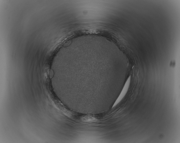 X0000112430747200908281902