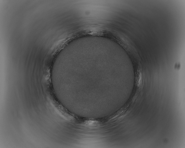 X0000112430748200908281902