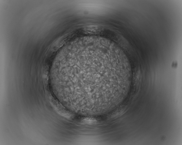 X0000112430749200908281902