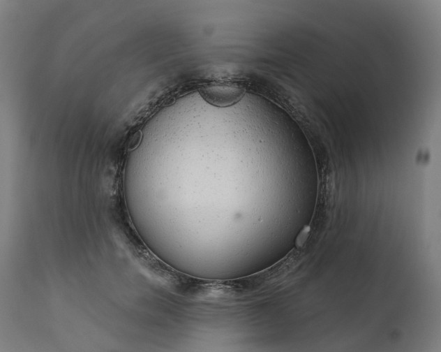 X0000112430750200908281902