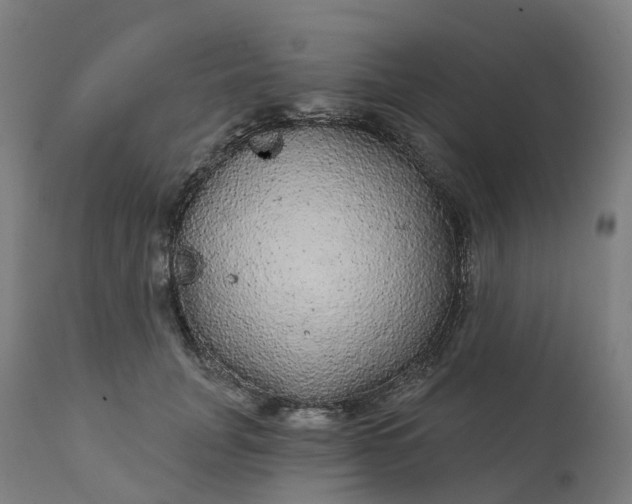 X0000112430751200908281902