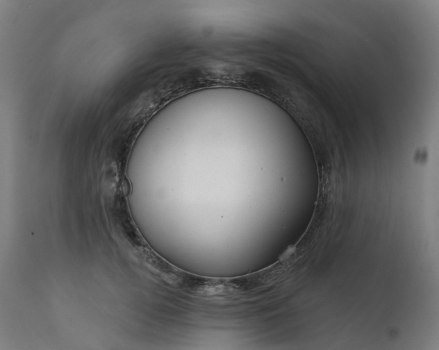 X0000112430752200908281902