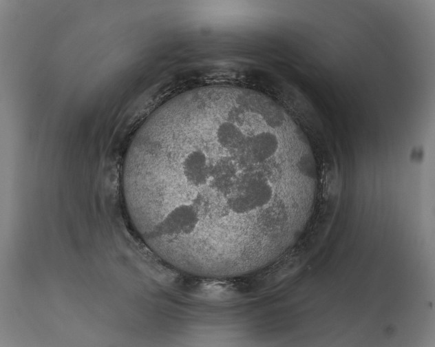 X0000112430753200908281902