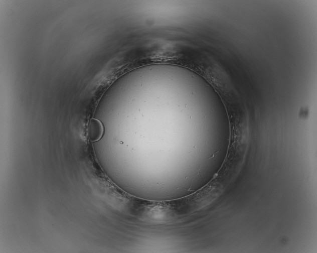 X0000112430755200908281902