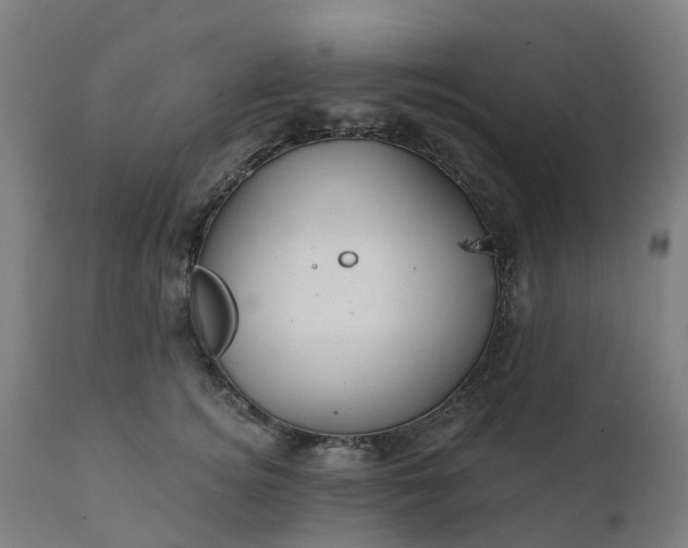 X0000112430756200908281902