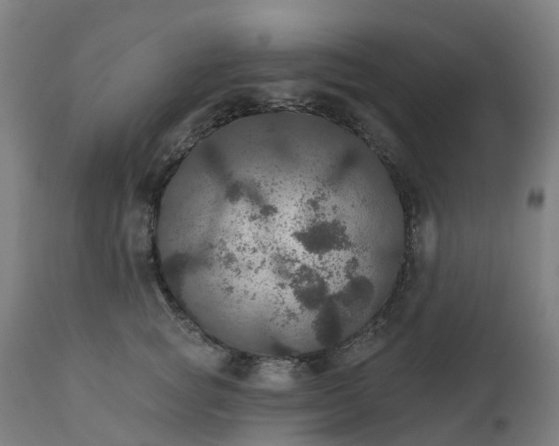 X0000112430757200908281902