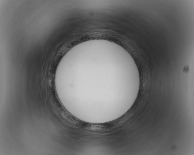 X0000112430758200908281902