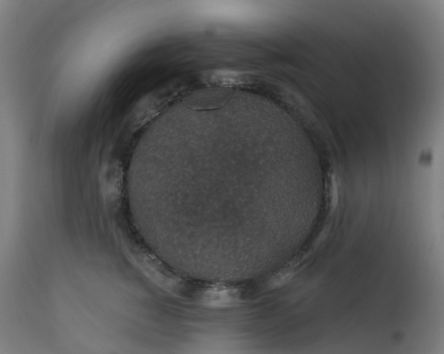 X0000112430760200908281902