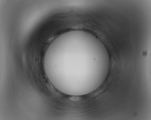 X0000112430762200908281902