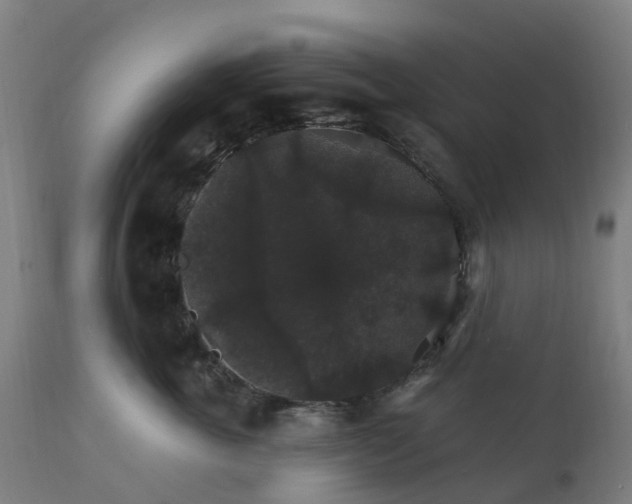 X0000112430763200908281902