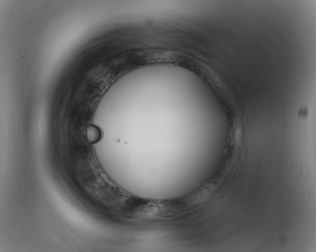 X0000112430764200908281902