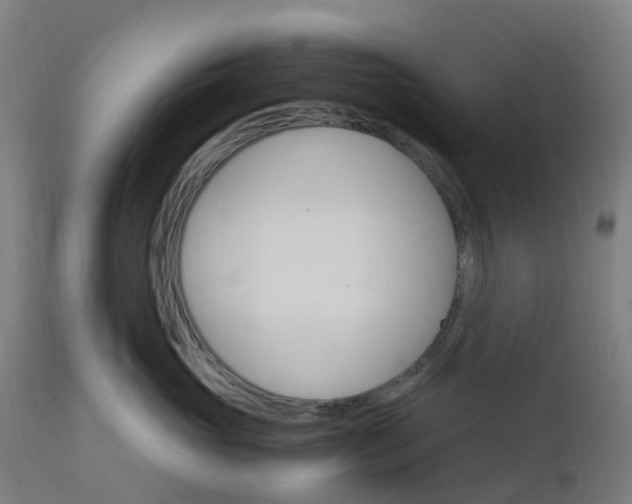 X0000112430765200908281902