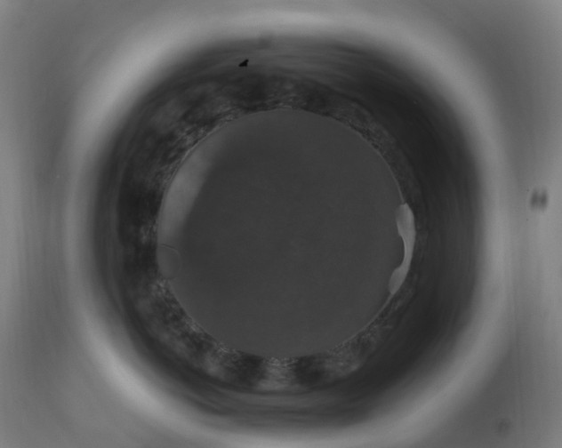 X0000112430766200908281902