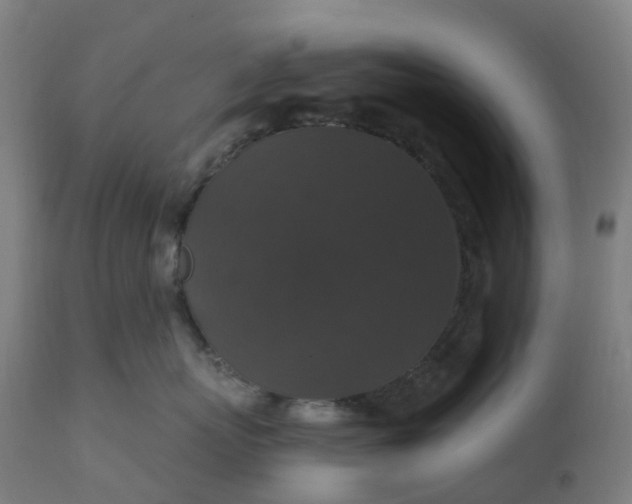 X0000112430767200908281902