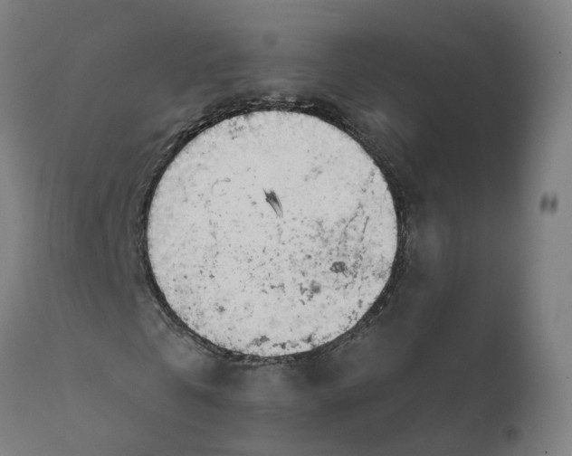 X0000112430769200908281901