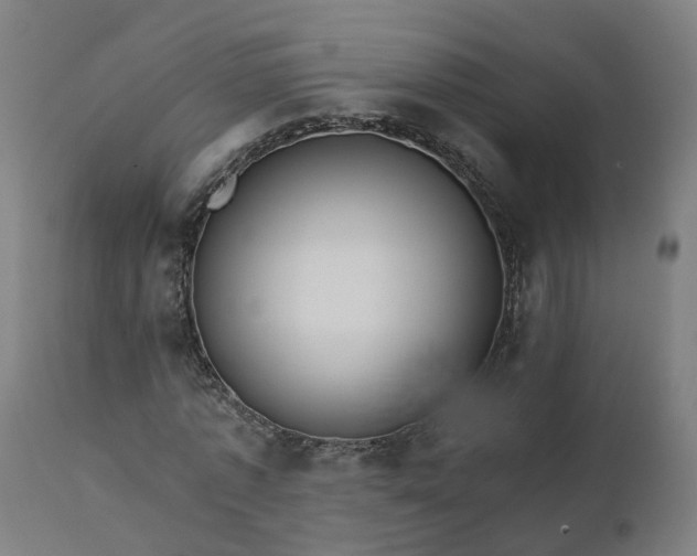 X0000112430773200908281901