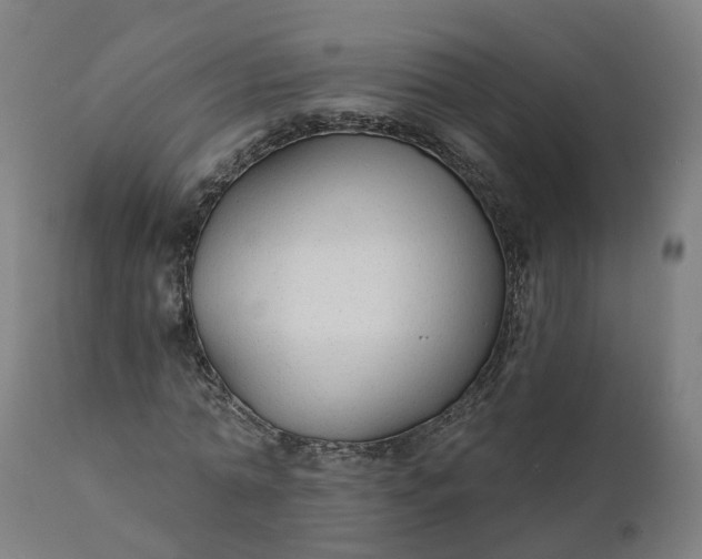 X0000112430774200908281901