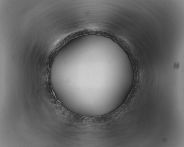 X0000112430776200908281901