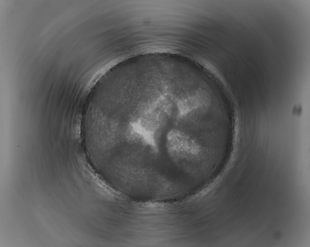 X0000112430777200908281901