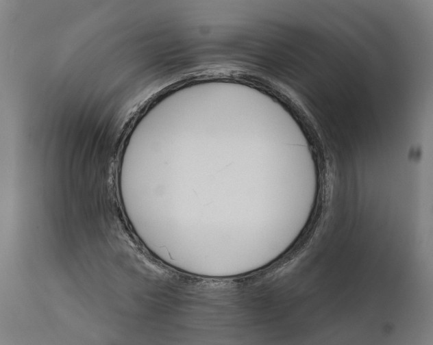 X0000112430778200908281901