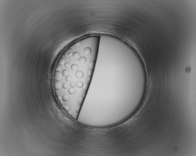 X0000112430779200908281901