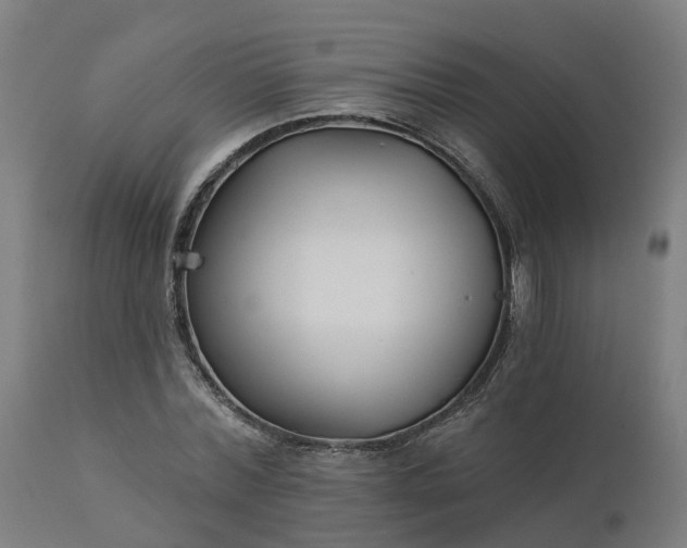 X0000112430780200908281901