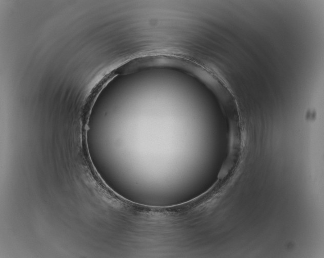 X0000112430781200908281901