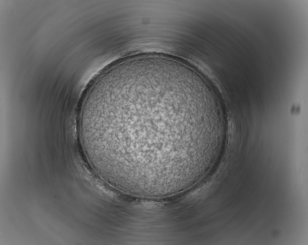 X0000112430782200908281901