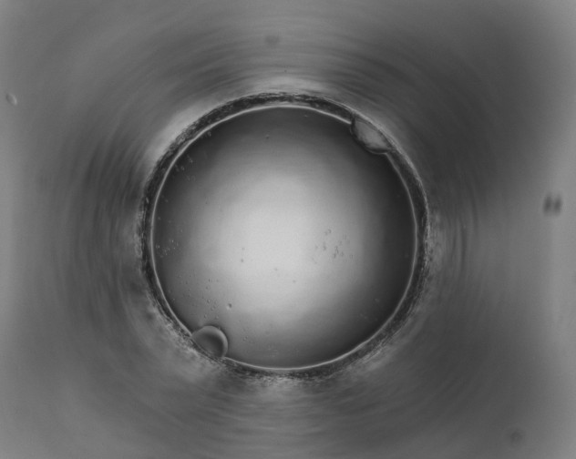 X0000112430783200908281901