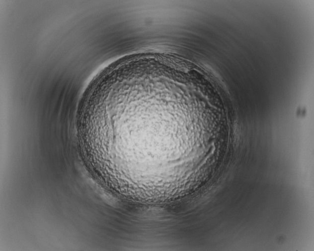 X0000112430784200908281901