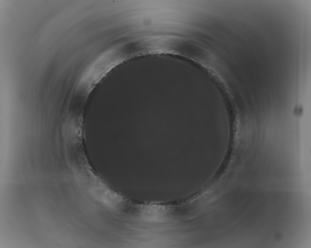 X0000112430785200908281901