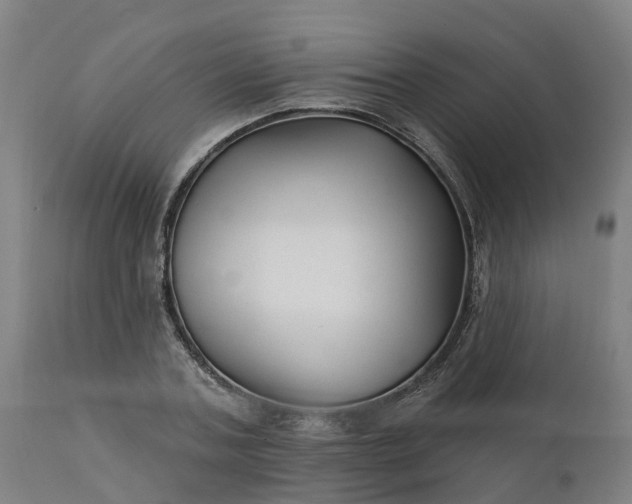 X0000112430787200908281901