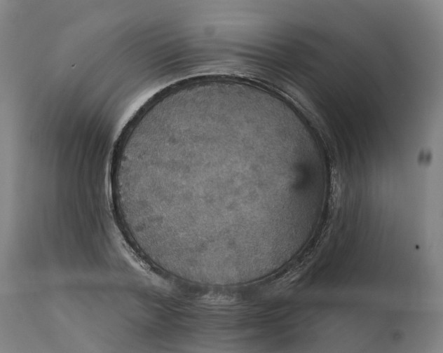 X0000112430788200908281901