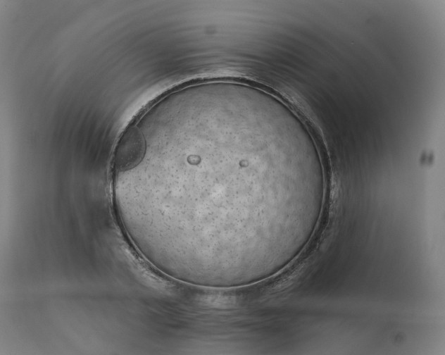 X0000112430789200908281901